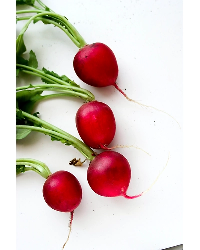 RADISH-1