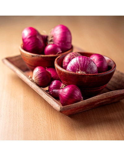 SHALLOTS-1