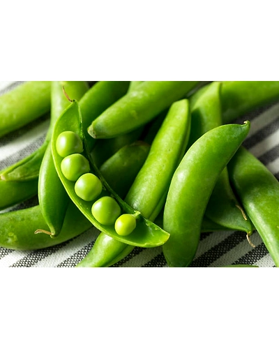 ORGANIC SNOWPEA-3