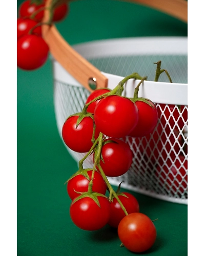 CHERRY TOMATO-3