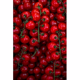 cherry tomato