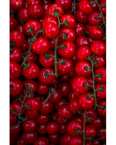 CHERRY TOMATO-12336408