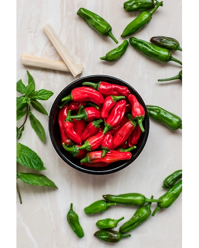 JALAPENO-1