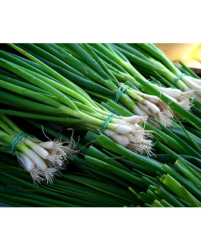 GREEN ONION-12336418