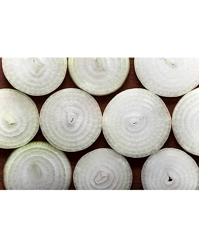WHITE ONION-1