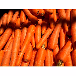 carrot