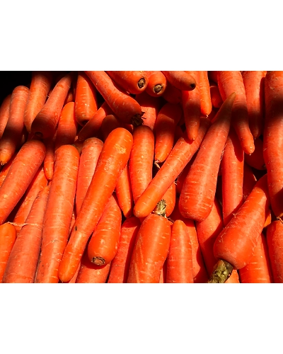CARROT-12336426