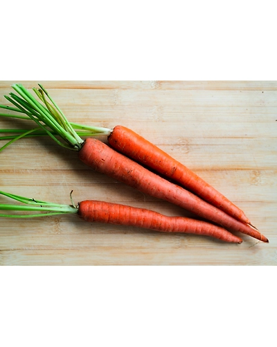 CARROT-2