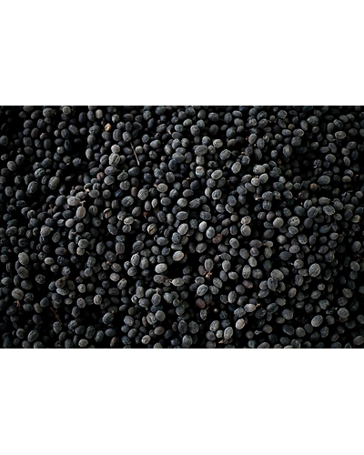 BLACK BEANS-1