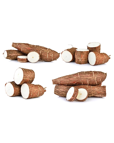 CASSAVA-2