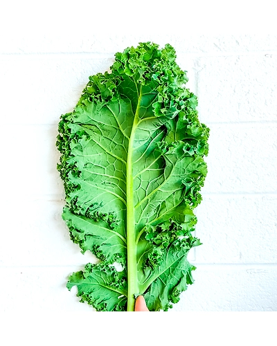 KALE-1