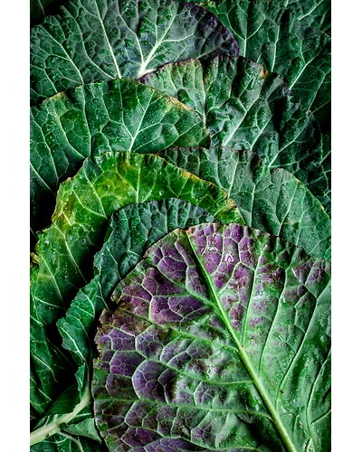 KALE-2