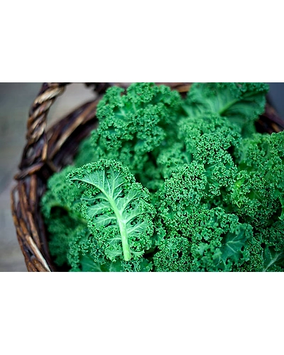 KALE-3