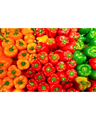 YELLOW BELL PEPPER-2