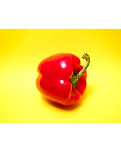 YELLOW BELL PEPPER-3
