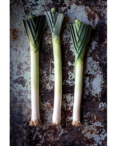 LEEKS-12336482