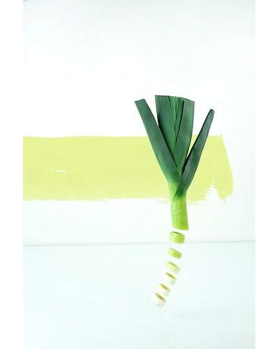 LEEKS-1