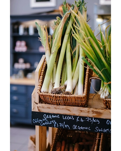 LEEKS-3