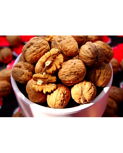 WALNUTS-2