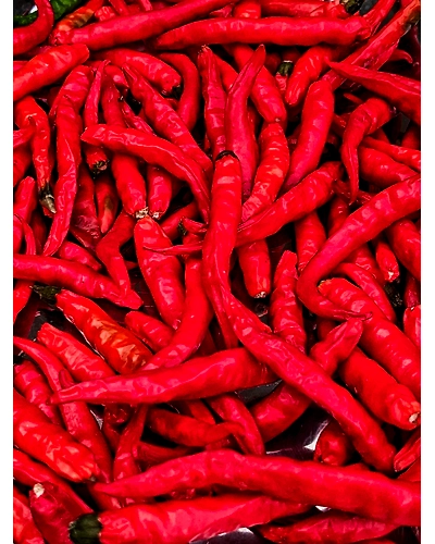 RED CHILLIES-12336496