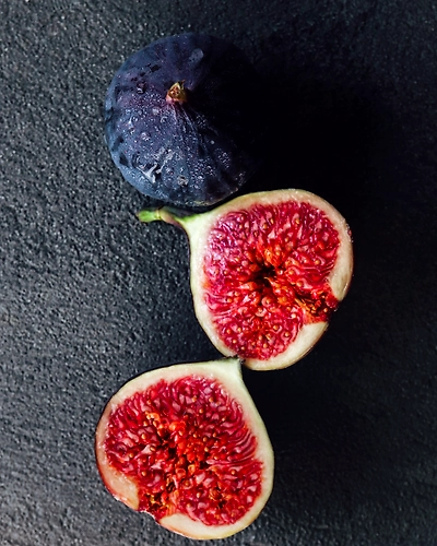 FIGS-12336504