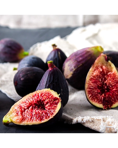 FIGS-3