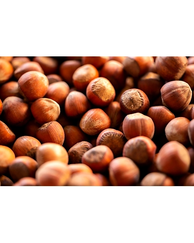 HAZELNUTS-3