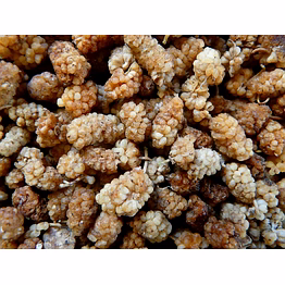 dried mulberries