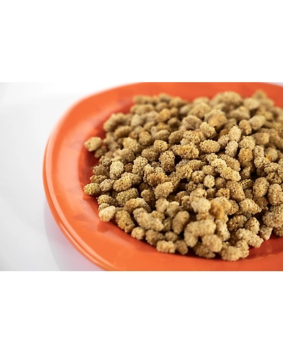 DRIED MULBERRIES-1
