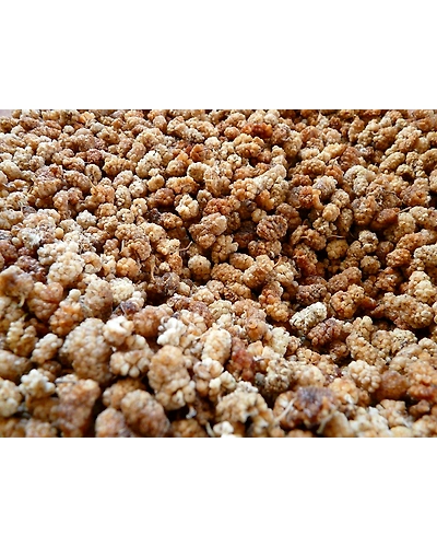 DRIED MULBERRIES-2