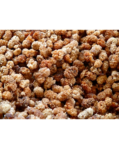 DRIED MULBERRIES-3