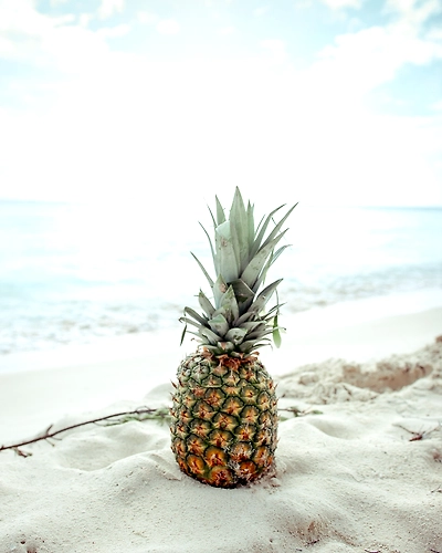 DRIED PINEAPPLE-1
