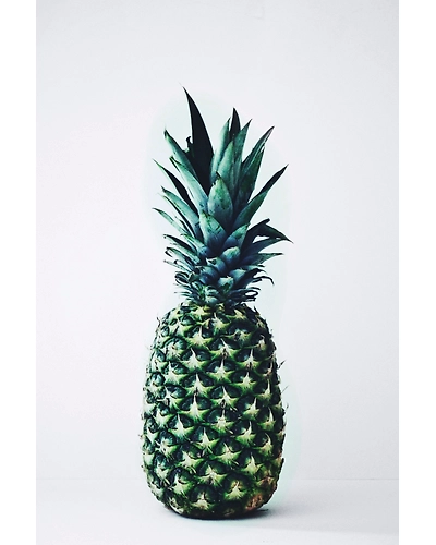DRIED PINEAPPLE-2