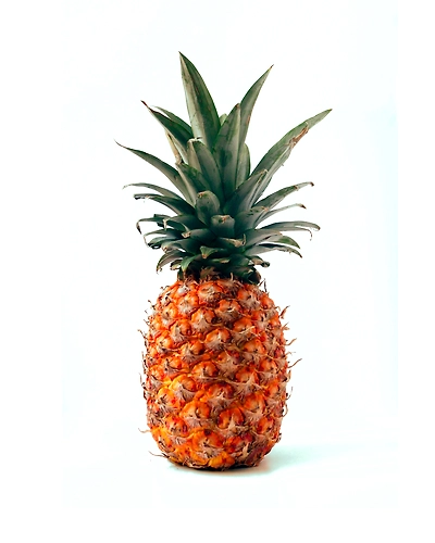 DRIED PINEAPPLE-3