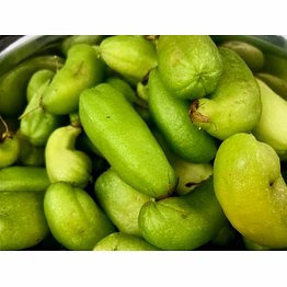 bilimbi (tree sorrel)