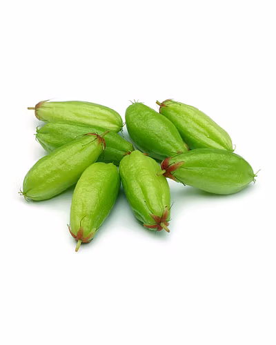 BILIMBI (TREE SORREL)-3