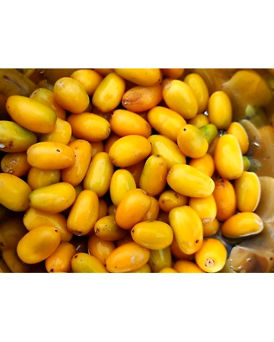 KHIRNI-1