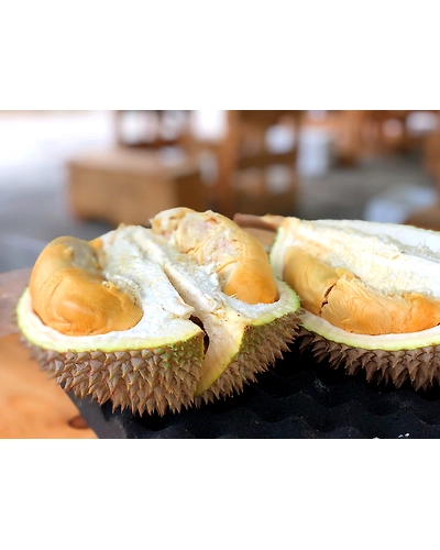 DURIAN-3