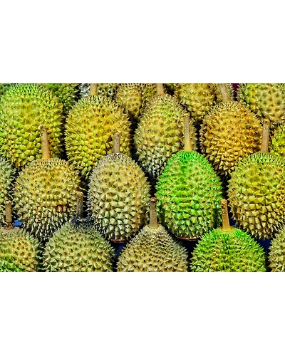 DURIAN-1