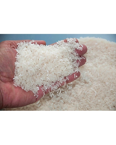 SHARBATI BASMATI RICE-1