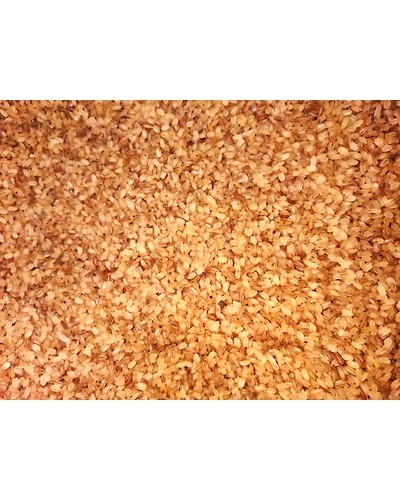 Parboiled ric-2