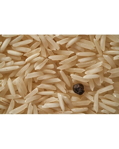 SONA MASOORI RICE-2