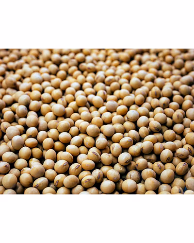BLACK EYED BEANS-2