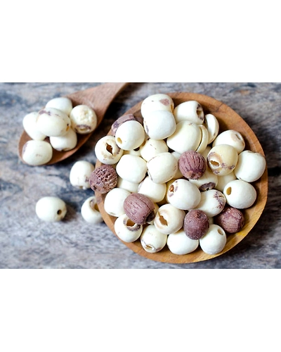 LOTUS SEEDS-2