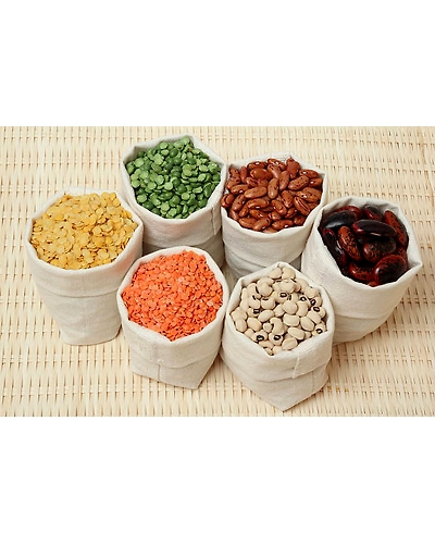 INDIAN LOBIA-2