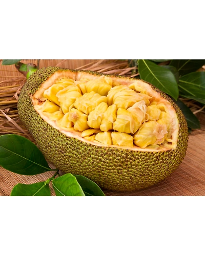 JACKFRUIT-1