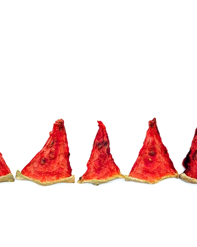 DRIED WATERMELON-2
