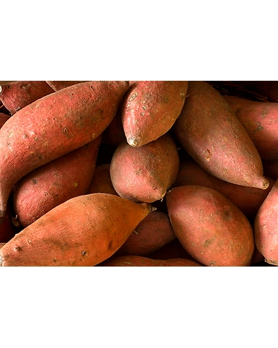 FRESHO SWEET POTATO-1