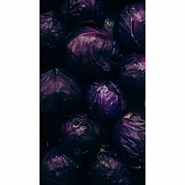 red cabbage