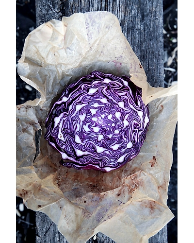 RED CABBAGE-2